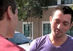 Falcon Studios: Dylan's Local Secrets for a Wild Ride