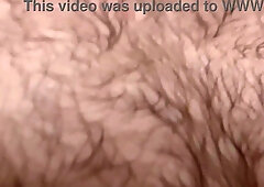 Investigate a Wooly Grizzly from Head to Toe