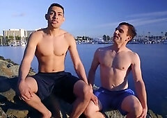 Fag, cock sucking, seancody