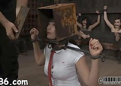 Lusty and wild sluts are stuffed inside a small cage