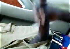 ginormous black wood draining in truck