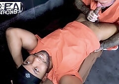 4k porn, prison bears, prison blowjob
