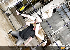 Dom Sean Taylor filled restrained twink Elio Amari with cum