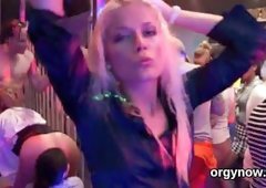 Pretty centerfolds suck cock and enjoy riding and gangbang