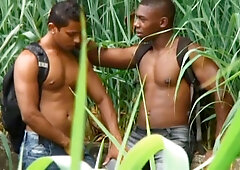 Marcelo Sousa & Nelson Barros