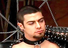 Falcon Studios: Dark and Twisted: The Dildo, the Ass & Matt