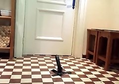 Ola robyexx - fuck in kitchen and moan like a slut