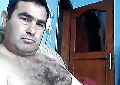 Husky handsome bear 40318