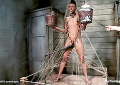 Master whip ebony during training