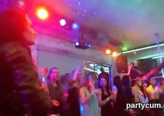 Kinky chicks get fully fierce and undressed at hardcore party