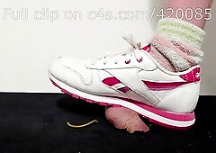 LittleShoes - Preview Wang Crush Reebok Size 34