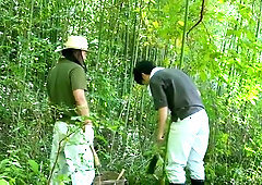 263-wguuhy-ouhsgy-poo-sfs