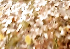 Sex in public cu romanian maimuta sex