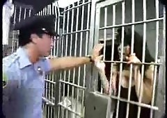 Prison sex with a milf tranny