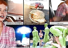 1St Contact two - Aliens MotelПервый контакт two - мотель пришельцев