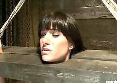 Gorgeous gals suffer so nicely. Especially when they desire it. My initial assessments of DiMarco pegged her as some other charming porn wench that 