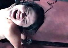 sex slave yhivi gets stimulated with electric shocker and vibrator