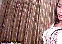 Big boobed ladyboy teenager in stockings enjoys caboose to mouth