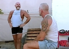 Kissing, gonzo, fledgling