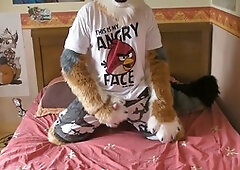 Furry yiff, fursuit masturbation, wank