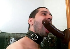 Deep-throating and getting nailed by a dark dildo