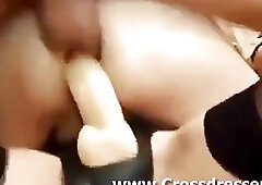 Three nasty shemale naughties enjoy group sex with a guy