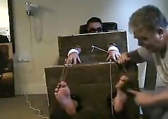 English tickle wolf Pt two