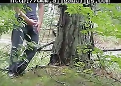 Jerk  By Busy Roadside And Shoot Up Tree