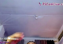 Excited Twink SheBabe gets Horny doing web cam showPart 3