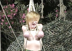 Breasts in Pain - Full Suspension in a cruel Chicken Wing Night Session for the BBBB - Part 2 mp4 SD