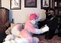 Furry Fun Yiff Yiff