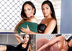 BRAZILIAN TRANSSEXUALS Updates 9th Dec to 13th Dec 24