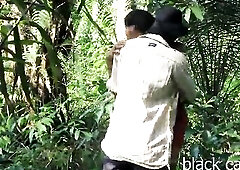 The angel in the bush in search of firewood