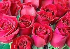 Busty mature milf Desi Mazaa ready to please in bed