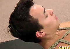 domination & submission doms share confined subs weenie in gym