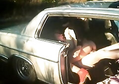 Vintage car sex