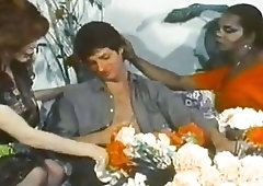 Two shemale naughties in stockings get blowjobs from a guy