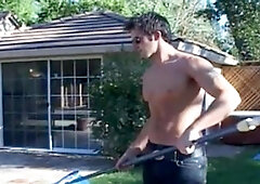 Trystan Bull: Bull in a China Shop