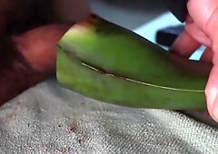 Jerking Off With Aloe Vera Ultil I Nut A Thick Load