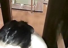 Public Throatpie at the Sauna/hot Tub ;)