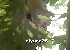 Flaming pissing in the bush