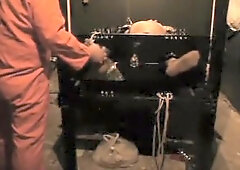 Leather Bear Cop Captured !