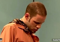 Hd videos, gay porn, suite 703