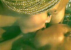 Retro Shemale Fucked