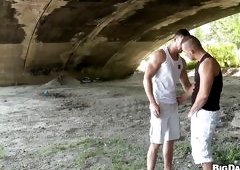 Gay Sex Beneath The Underpass