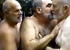 Daddy Bears on a Bench