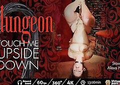 The Dungeon: Touch Me Upside Down