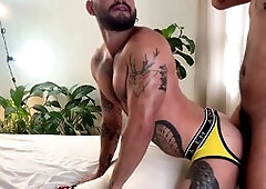 Otters, studs, ass-fuck