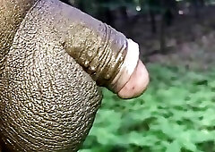 Fem choices NewSeasons