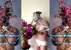 Shibari DaMotta. Accomplish in CRIMSON